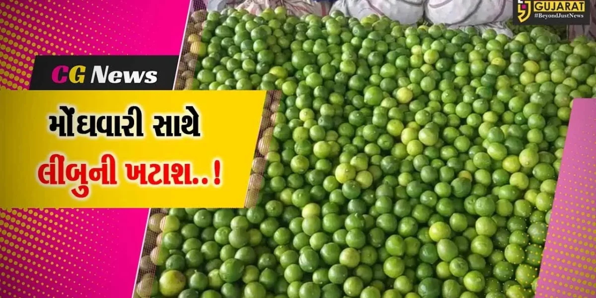 ભાવનગર : ઉનાળાની ગરમી વચ્ચે લીંબુની માંગમાં વધારો, પણ સારો ભાવ નહીં મળતા ખેડૂતોમાં નારાજગી..!