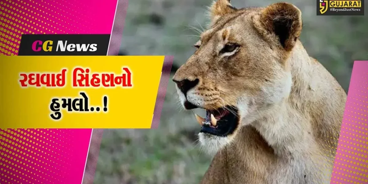અમરેલી : સાવરકુંડલાના લુવારા ગામે સિંહણના હુમલામાં 7 વર્ષીય બાળકનું મોત, ગ્રામજનોમાં ફફડાટ