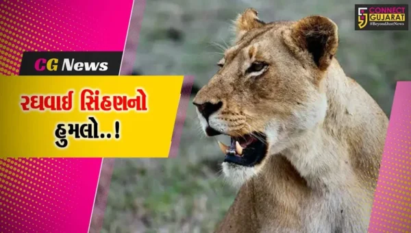 અમરેલી : સાવરકુંડલાના લુવારા ગામે સિંહણના હુમલામાં 7 વર્ષીય બાળકનું મોત, ગ્રામજનોમાં ફફડાટ