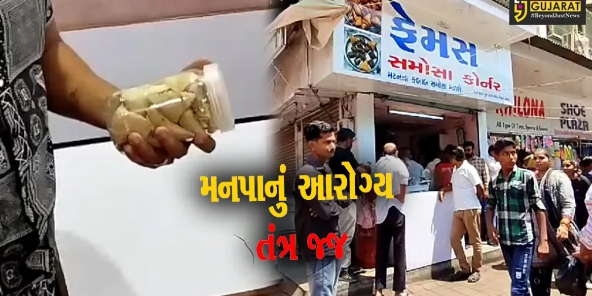 વડોદરા : ગૌમાંસના સમોસા પકડાયા બાદ તંત્ર સજ્જ, ન્યાય મંદિર વિસ્તારની દુકાનોમાં દરોડા…