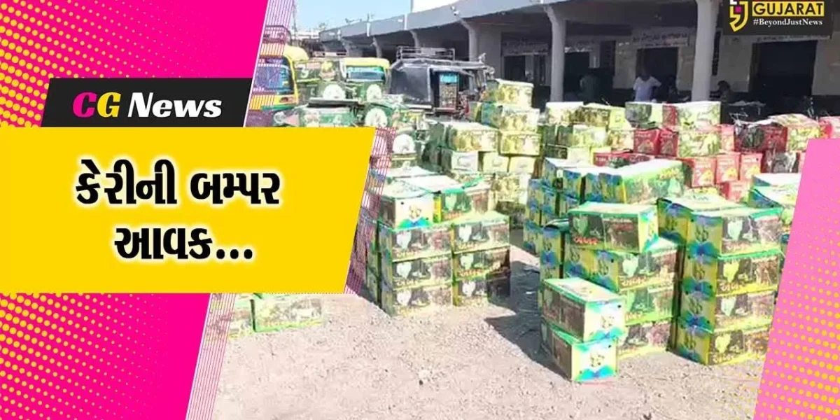 જુનાગઢ : માર્કેટિંગ યાર્ડમાં કેરીની બમ્પર આવક થતાં વેપારીઓમાં છવાયો ખુશીનો માહોલ…