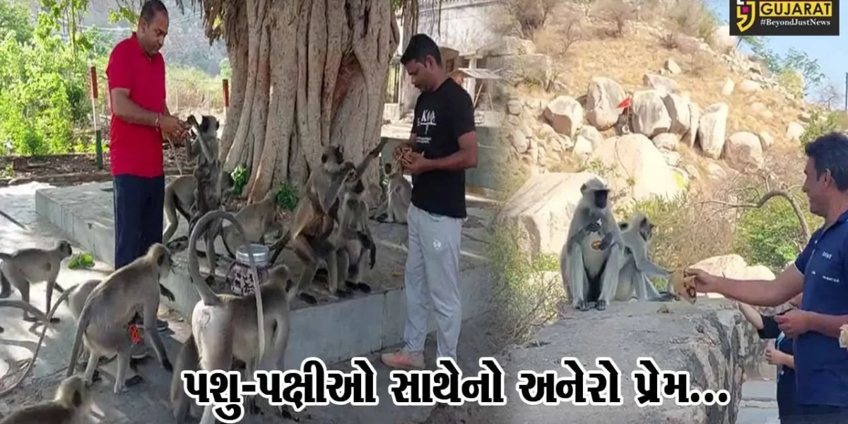 સાબરકાંઠા : કપરા ચઢાણ સાથે ઈડરીયા ગઢ પર પશુ-પક્ષીઓની જીવદયા મિત્ર મંડળ દ્વારા અનોખી સેવા…