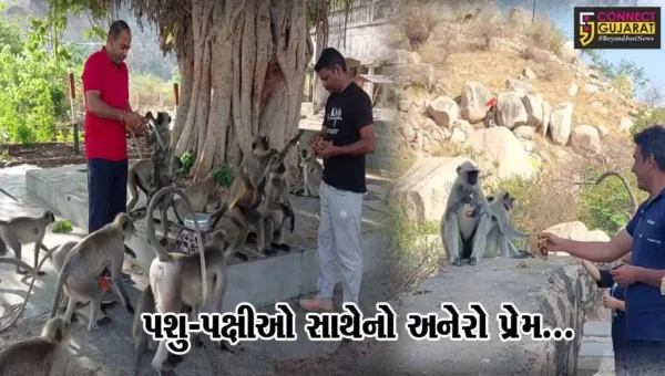 સાબરકાંઠા : કપરા ચઢાણ સાથે ઈડરીયા ગઢ પર પશુ-પક્ષીઓની જીવદયા મિત્ર મંડળ દ્વારા અનોખી સેવા…