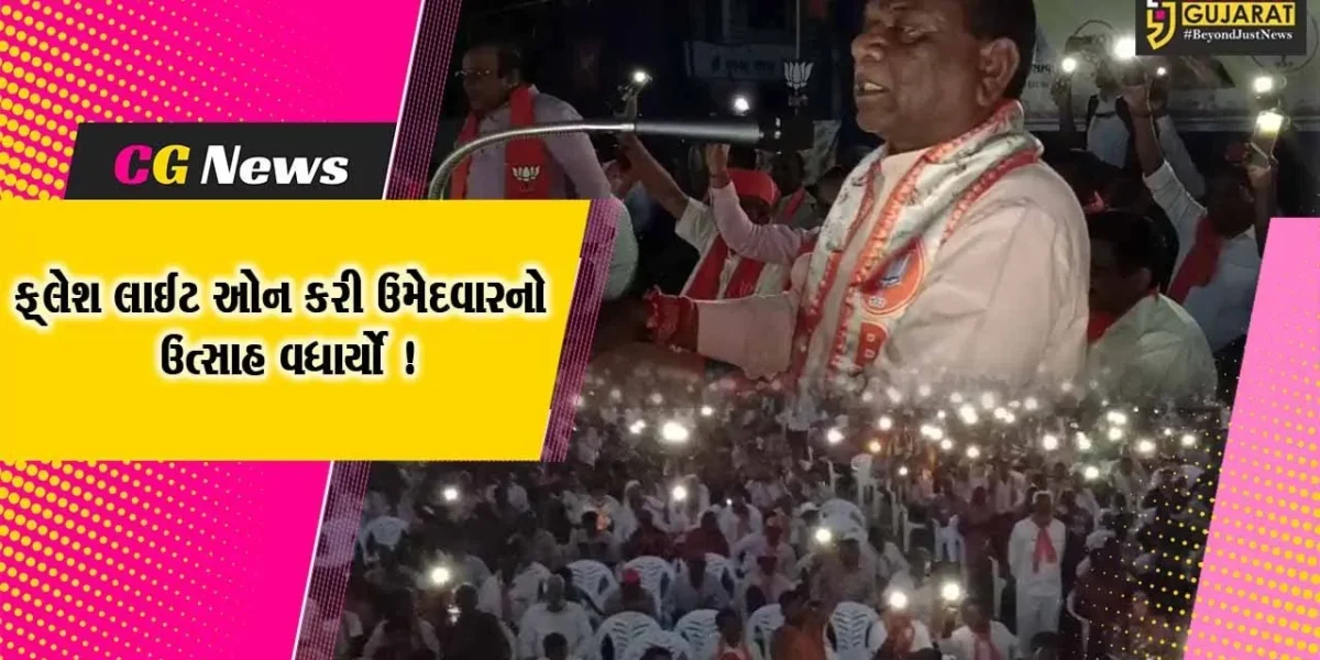 ભરૂચ: ભાજપના સંમેલનમાં વીજળી થઈ ડુલ, લોકોએ મોબાઈલની ફ્લેશ લાઈટ ઓન કરી મનસુખ વસાવાનો ઉત્સાહ વધાર્યો