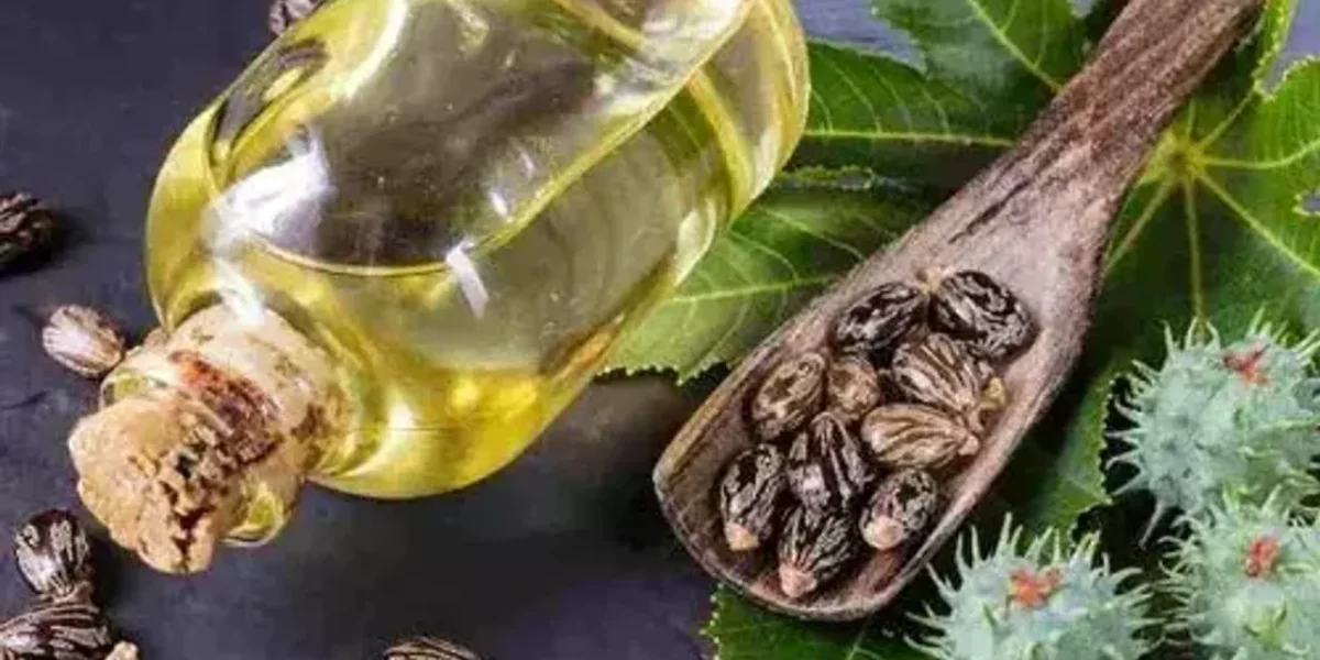 આ તેલનું માલિશ દરરોજ કરવાથી ત્વચા મુલાયમ અને ચહેરો બનશે ચમકદાર…
