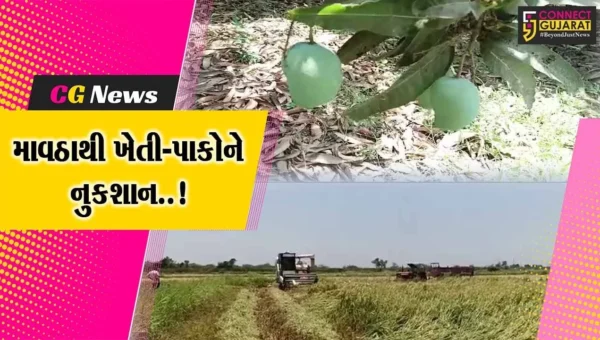 અંકલેશ્વર : માવઠાના કારણે કેરી સહિત ડાંગરના પાકને નુકશાન, ખેડૂતો ચિંતામાં મુકાયા…