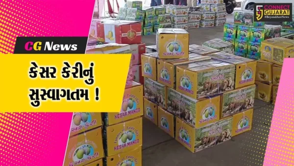 ગીરસોમનાથ: તલાલામાં કેસર કેરીનું કરાયુ મુર્હુત, આટલા રૂપિયામાં થયો પહેલો સોદો