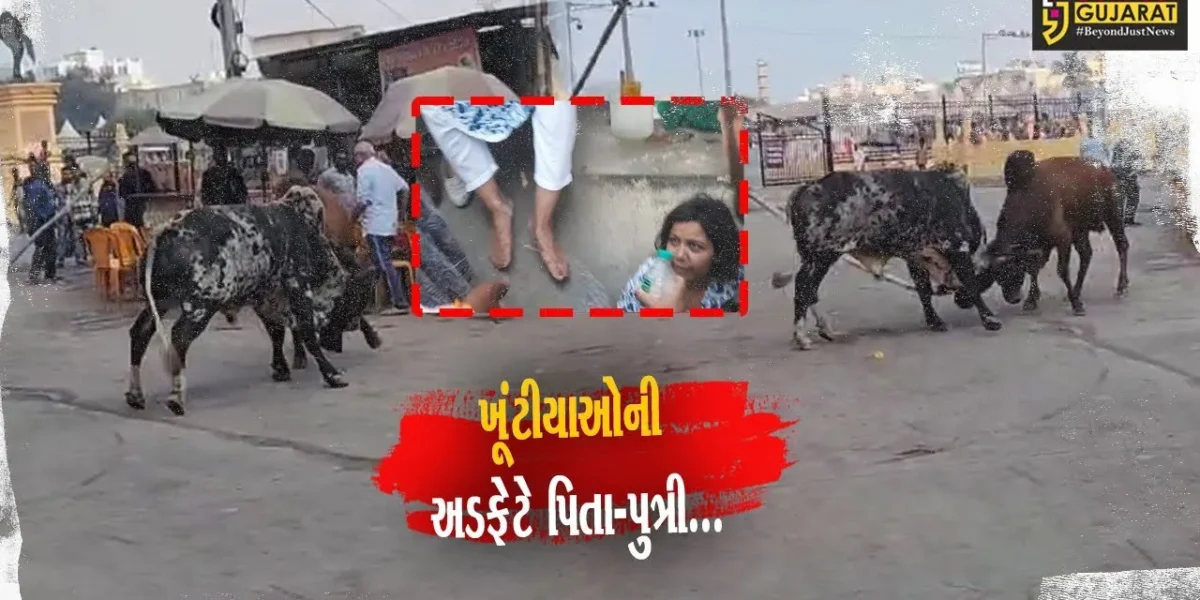ગીર સોમનાથ : સોમનાથ તીર્થ પરિસરમાં રખડતાં આખલાઓની અડફેટે મુંબઈના યાત્રિક પિતા-પુત્રીને ઇજા…