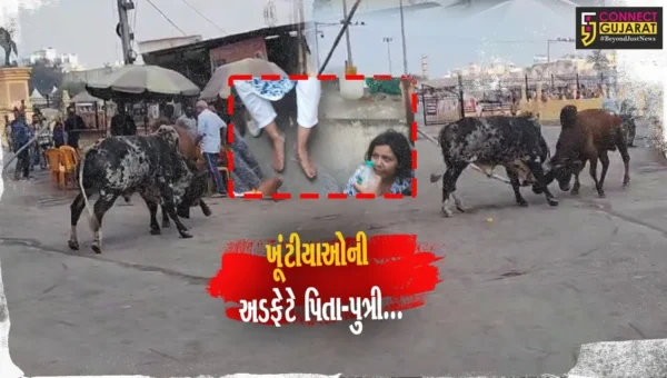 ગીર સોમનાથ : સોમનાથ તીર્થ પરિસરમાં રખડતાં આખલાઓની અડફેટે મુંબઈના યાત્રિક પિતા-પુત્રીને ઇજા…