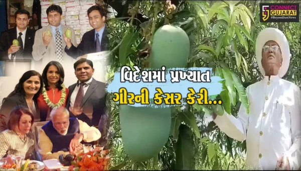 અમેરિકામાં 6 વર્ષથી પ્રતિબંધિત હતી ગીરની પ્રખ્યાત કેસર કેરી, અમરેલીના ખેડૂતની જહેમતે વિદેશીઓએ ચાખ્યો કેરીનો સ્વાદ