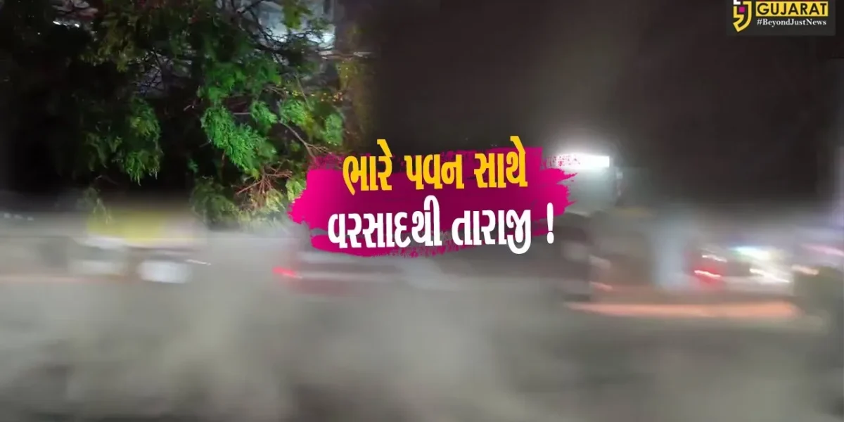ભરૂચ: મીની વાવાઝોડા સાથે ઠેર ઠેર કમોસમી વરસાદથી તારાજીના દ્રશ્યો, વાલિયા- નેત્રંગમાં સરેરાશ 2 ઇંચ વરસાદ