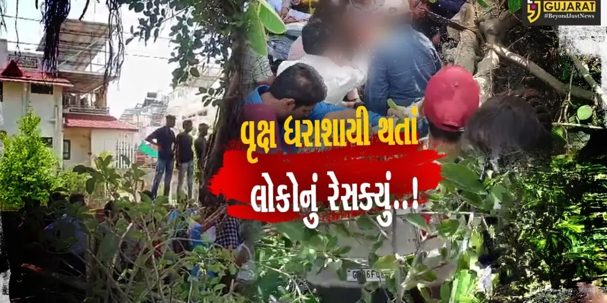 LIVE રેસક્યું..! : વડોદરા-માંજલપુરમાં વિશાળકાય વૃક્ષ ધરાશાયી થતાં 2 વાહનો દબાયા, રીક્ષાનું પતરું કાપી ચાલકને બહાર કઢાયો…