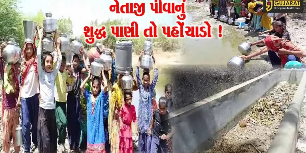 પાટણ: રાધનપુરના ભાડીયા ગામે પીવાના પાણીની પારાયણ, પ્રચાર અર્થે પહોંચેલા નેતાજીને લોકોએ ઘેર્યા