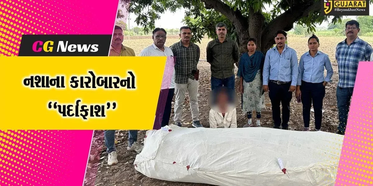 અંકલેશ્વર : અંદાડા નજીક ખેતરમાંથી 52 નંગ ગાંજાના છોડ સાથે ખેતર માલિકની અટકાયત, રૂ. 3.96 લાખનો મુદ્દામાલ જપ્ત
