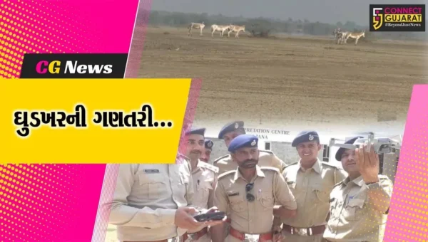 સુરેન્દ્રનગર : 10મી વખત ઘુડખર ગણતરી સંદર્ભે વન વિભાગના કર્મચારીઓની તાલીમ શિબિર યોજાય…