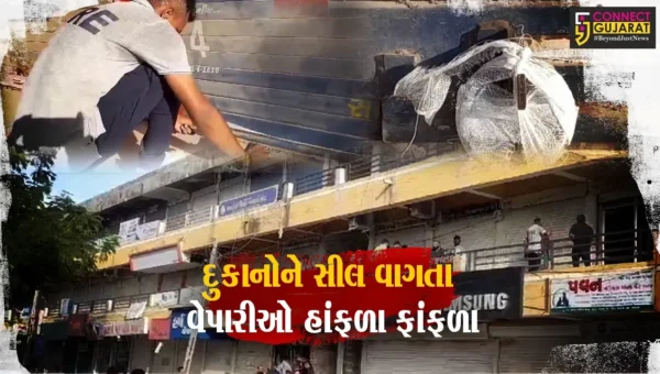 રાજકોટ અગ્નિકાંડ બાદ તંત્ર એક્શનમાં, અમરેલી તંત્ર દ્વારા સરદાર કોમ્પ્લેક્ષની 350 દુકાનો સીલ મારી
