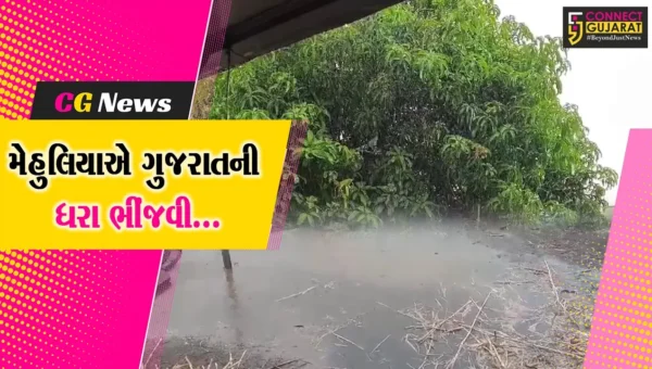ગુજરાતમાં “મેહુલિયો” : વિધિવત્ રીતે ચોમાસું બેસે તે પહેલાં જ રાજ્યમાં ખાબક્યો વરસાદ, ખેડૂતોએ વાવણીના શ્રીગણેશ કર્યા.