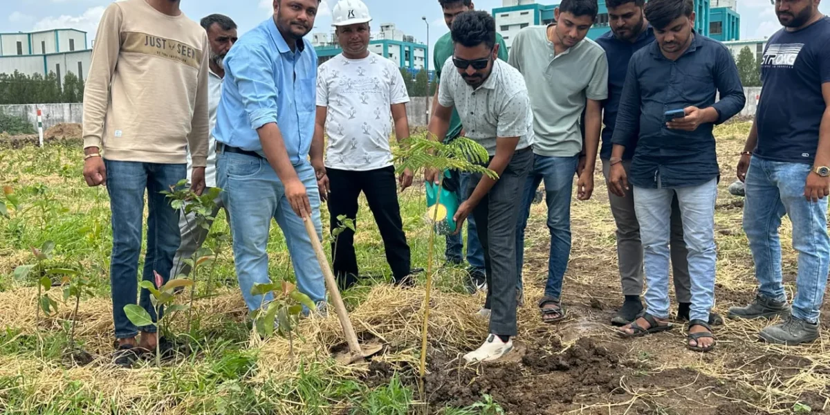 ભરૂચ જિલ્લાના વાગરા તાલુકા સાયખા ઇન્ડસ્ટ્રીઝ એશોસિએશન દ્વારા વિશ્વ પર્યાવરણ દિવસ નિમિત્તે 11 હજાર વૃક્ષોનું વાવેતર કરવામાં આવ્યું હતું.