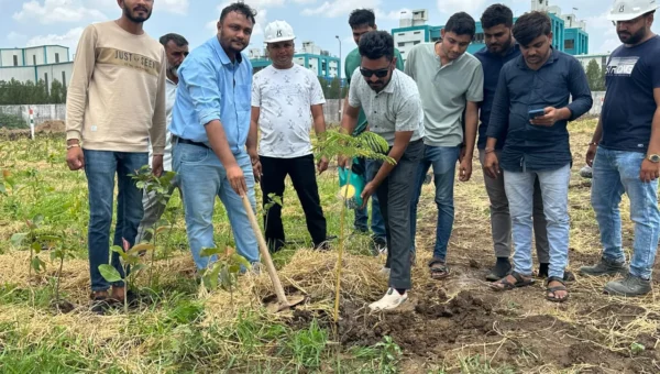 ભરૂચ જિલ્લાના વાગરા તાલુકા સાયખા ઇન્ડસ્ટ્રીઝ એશોસિએશન દ્વારા વિશ્વ પર્યાવરણ દિવસ નિમિત્તે 11 હજાર વૃક્ષોનું વાવેતર કરવામાં આવ્યું હતું.