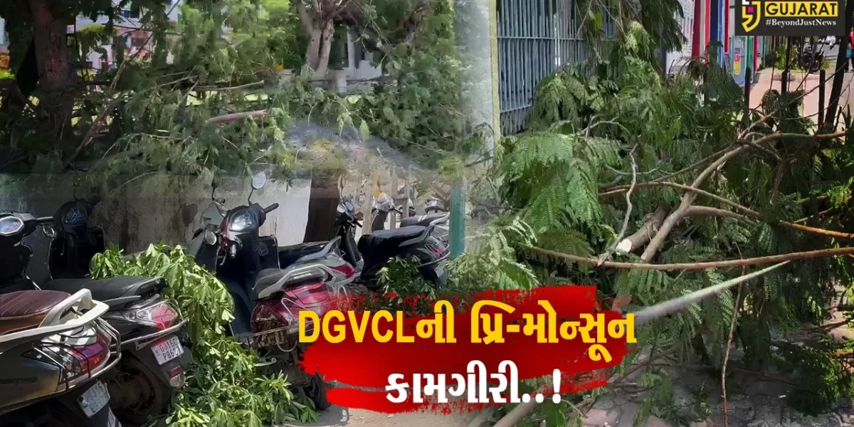 અંકલેશ્વર : DGVCLની પ્રિ-મોન્સૂન કામગીરી અંતર્ગત ઝાડની ડાળીઓ દૂર કરાય