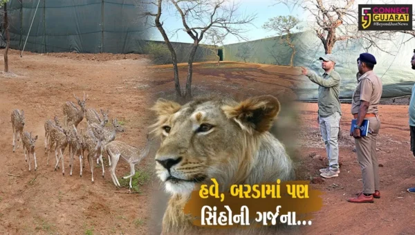 અહી પણ તમને જોવા મળશે સિંહો,સૌથી મોટા બરડા અભ્યારણની કામગીરી પુરજોશમાં