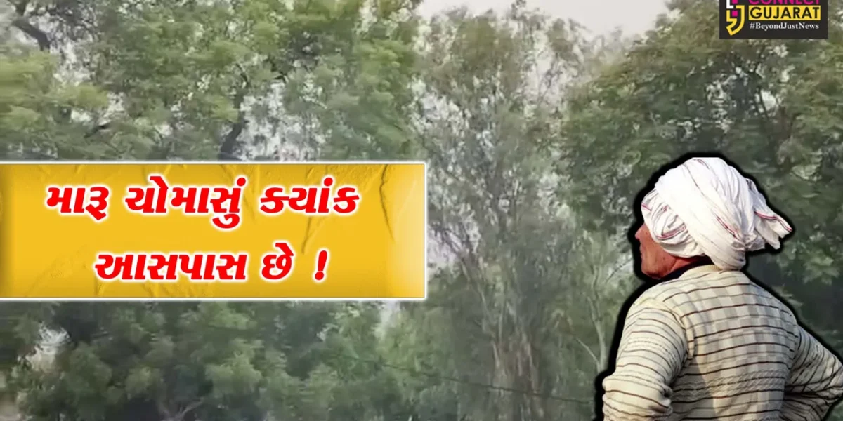 ગુજરાતમાં વરસાદની પધરામણી, અનેક વિસ્તારોમાં છૂટોછવાયો વરસાદ વરસ્યો