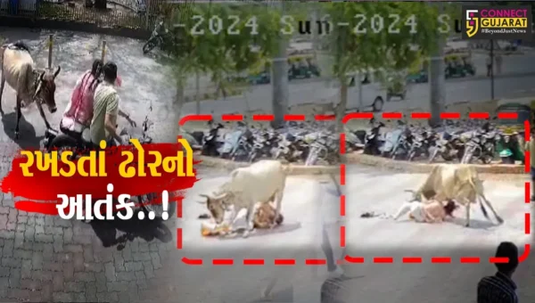 અરવલ્લી : બાઇક સવાર દંપત્તિ પર રખડતાં ઢોરનો હુમલો, ઘટના CCTVમાં કેદ.