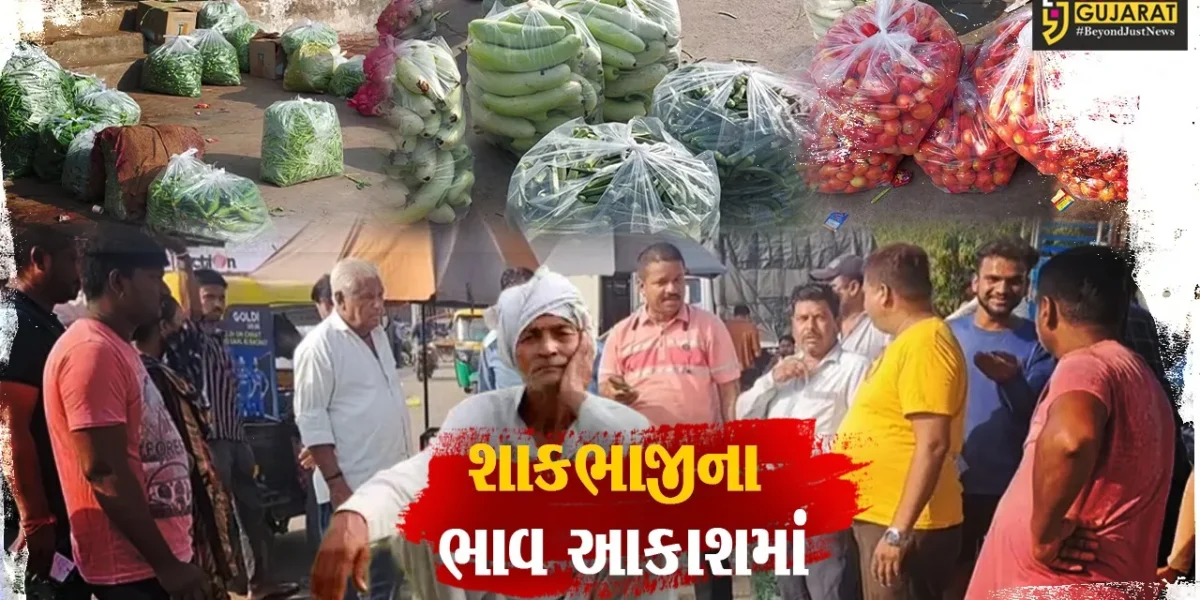સાબરકાંઠા : આકરી ગરમી વચ્ચે ખેતી-પાકને ભારે નુકશાન, આસમાને પહોચ્યા શાકભાજીના ભાવ…