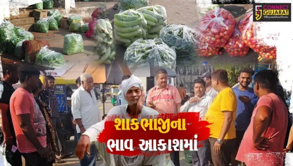 સાબરકાંઠા : આકરી ગરમી વચ્ચે ખેતી-પાકને ભારે નુકશાન, આસમાને પહોચ્યા શાકભાજીના ભાવ…