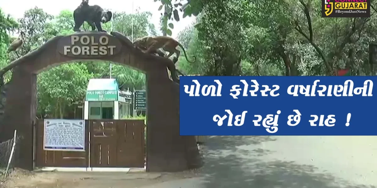સાબરકાંઠા: ગરમીના કારણે પોળો ફોરેસ્ટમાં પ્રવાસીઓની સંખ્યા નહીવત,