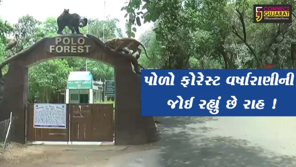 સાબરકાંઠા: ગરમીના કારણે પોળો ફોરેસ્ટમાં પ્રવાસીઓની સંખ્યા નહીવત,