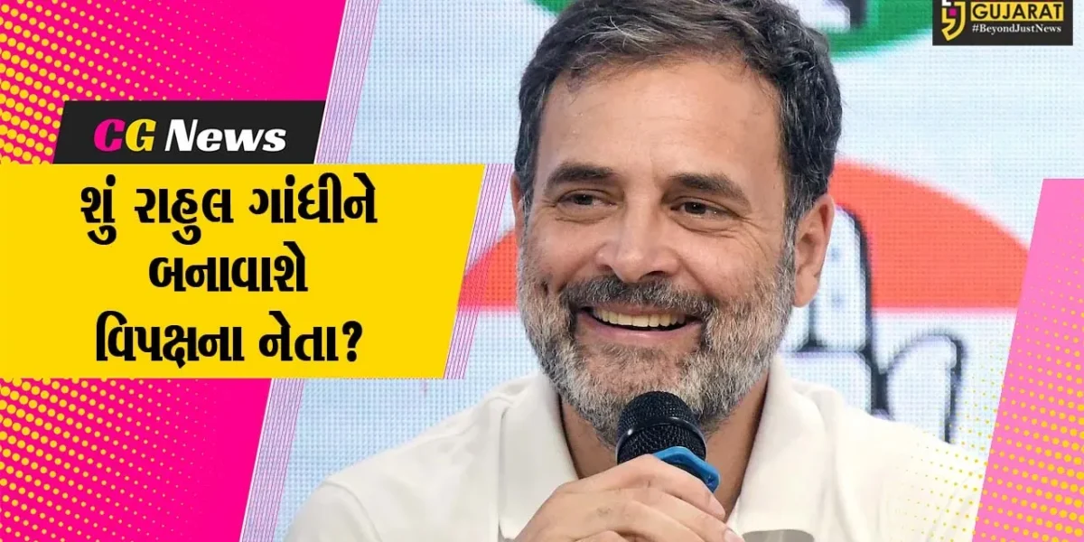 દિલ્હી કોંગ્રેસ વર્કિંગ કમિટીની બેઠકમાં રાહુલ ગાંધીને વિપક્ષી નેતા બનાવવાની માંગ
