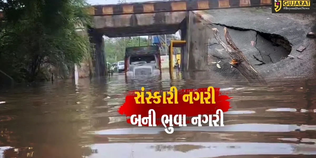વડોદરા:સામાન્ય વરસાદમાં રોડની હાલત કફોડી,પ્રિમોન્સૂનની કામગીરી પર સવાલ