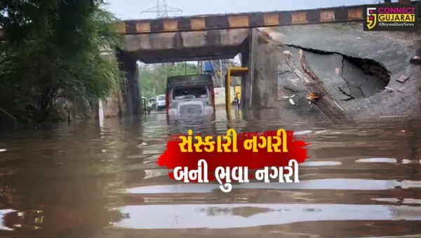 વડોદરા:સામાન્ય વરસાદમાં રોડની હાલત કફોડી,પ્રિમોન્સૂનની કામગીરી પર સવાલ