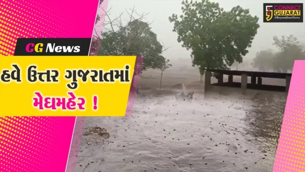 અરવલ્લી- સાબરકાંઠા જિલ્લામાં સાર્વત્રિક વરસાદ, ધરતીપુત્રોમાં ખુશીનો માહોલ