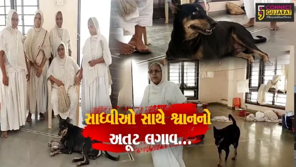 અહો ! આશ્ચર્યમ્ : ભાવનગરથી મહારાષ્ટ્ર જવા નીકળેલ જૈન સાધ્વીજીઓના સંઘ સાથે અંકલેશ્વર આવી પહોચ્યો શ્વાન…
