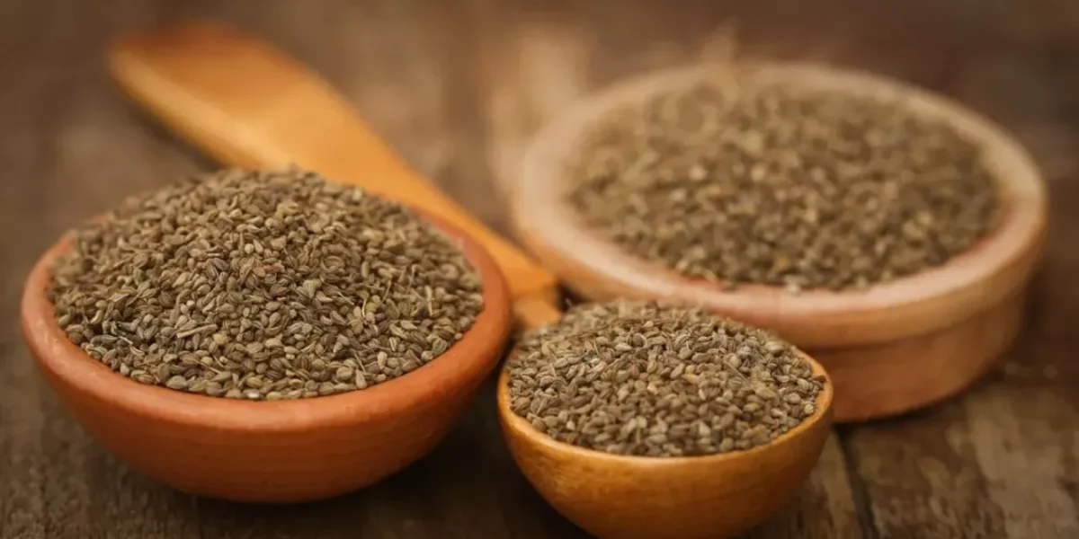 ખાલી પેટે અજમાનું પાણી પીવાથી ઘણી સમસ્યાઓ થશે દૂર….