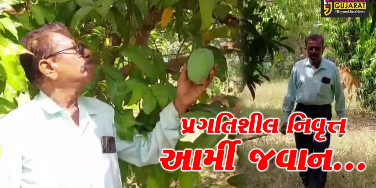 વડોદરા: પ્રાકૃતિક ખેતી કરી વર્ષે લાખોની કમાણી કરતાં નિવૃત્ત આર્મી જવાન