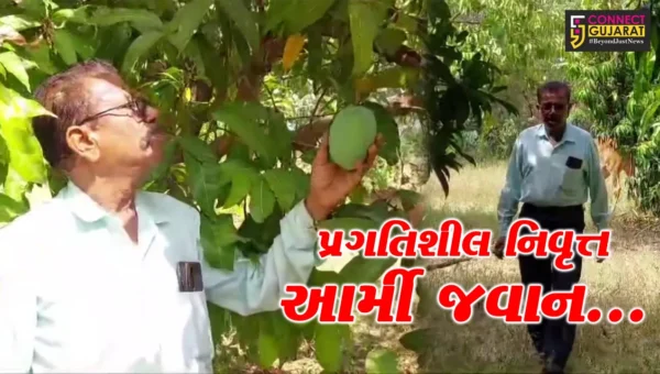 વડોદરા: પ્રાકૃતિક ખેતી કરી વર્ષે લાખોની કમાણી કરતાં નિવૃત્ત આર્મી જવાન