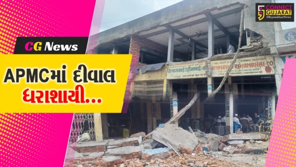 ભરૂચ : જૂની APMCમાં 8 મહિના પહેલા જ બનેલી દુકાનની દીવાલ ધરાશાયી