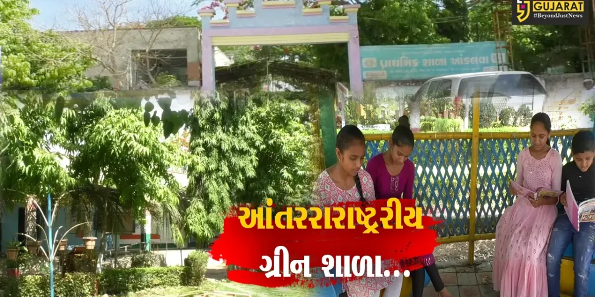 “આંતરરાષ્ટ્રીય ગ્રીન શાળા” એવોર્ડ : લીલા છોડની ગ્રીન ટનલ સાથે આકર્ષણનું કેન્દ્ર બની ભરૂચ-હાંસોટની આંકલવા પ્રાથમિક શાળા