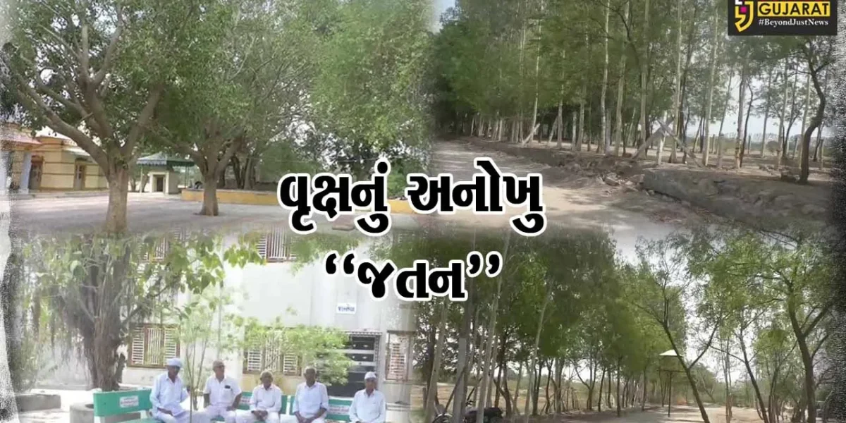 વિશ્વ પર્યાવરણ દિવસ સ્પેશ્યલ : સુરેન્દ્રનગરનું એક એવું ગામ કે, જ્યાં માનવવસ્તી કરતાં વૃક્ષોની સંખ્યા વધુ