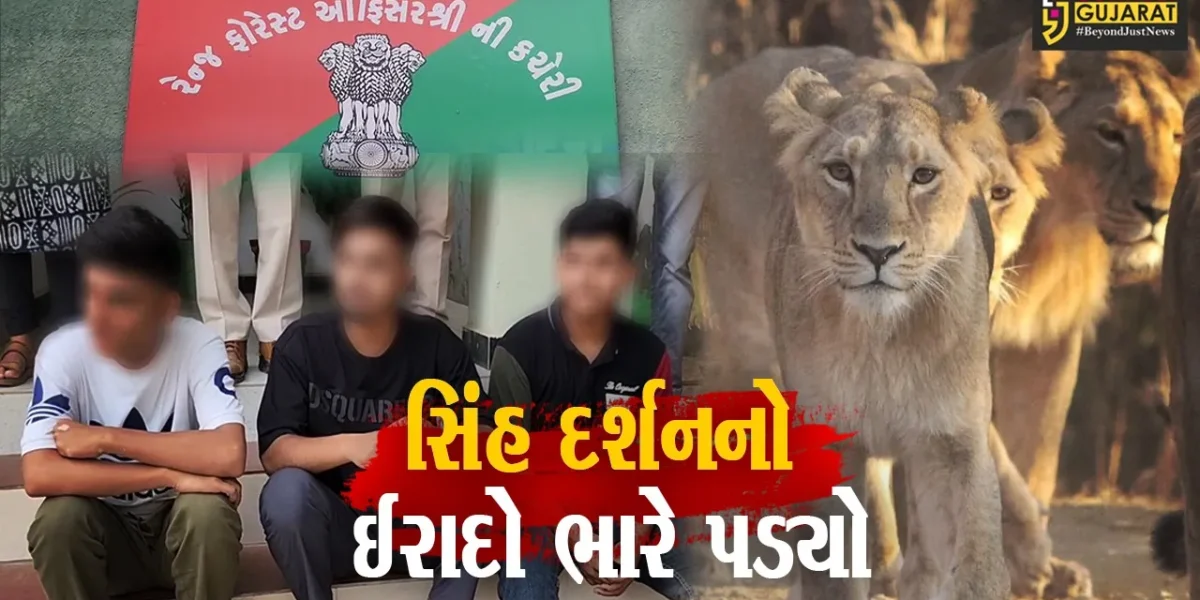 ગીરસોમનાથ વેરાવળના યુવકોને ગેરકાયદેસર સિંહ દર્શન કરવા ભારે પડ્યા