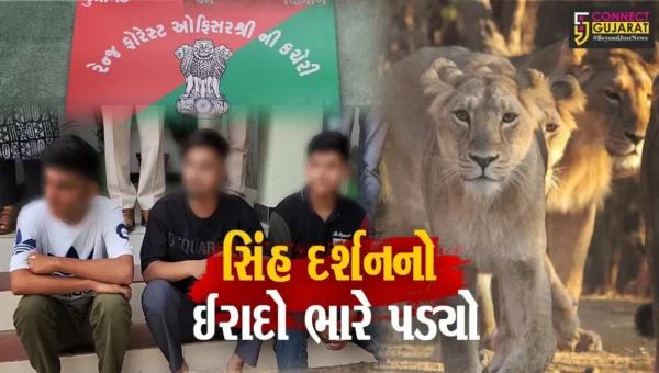 ગીરસોમનાથ વેરાવળના યુવકોને ગેરકાયદેસર સિંહ દર્શન કરવા ભારે પડ્યા
