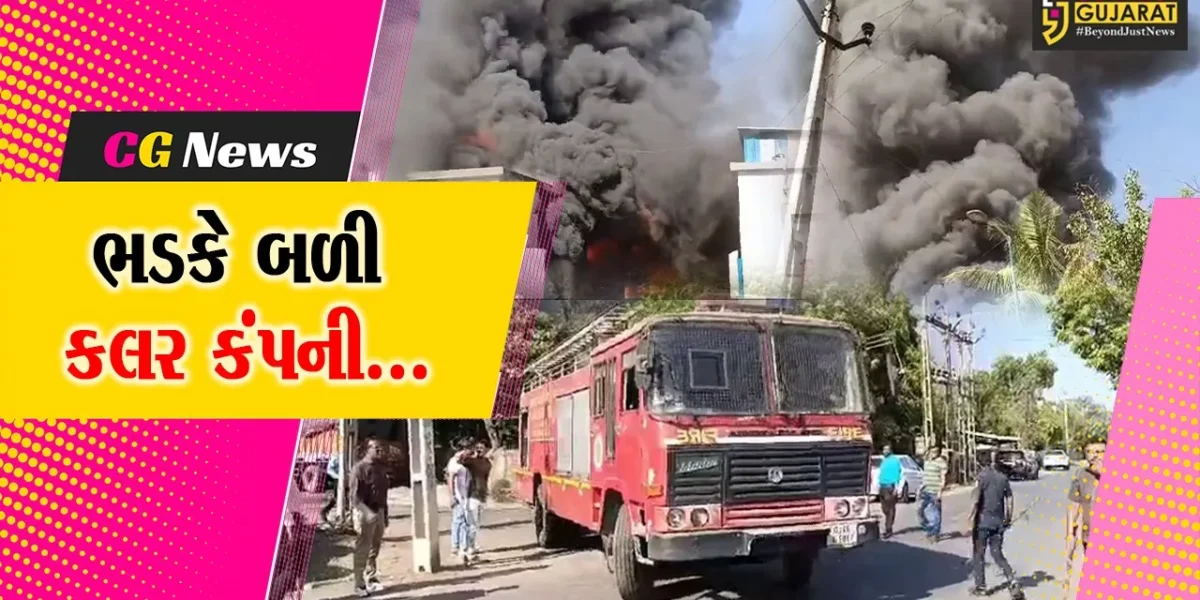 અંકલેશ્વર GIDCની સ્ટાર્ક કલર કંપનીમાં ફાટી નીકળી ભીષણ આગ