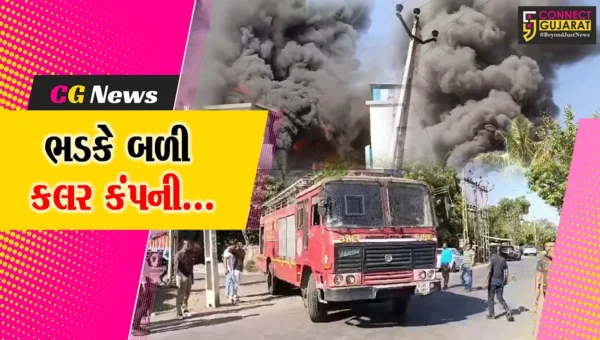 અંકલેશ્વર GIDCની સ્ટાર્ક કલર કંપનીમાં ફાટી નીકળી ભીષણ આગ