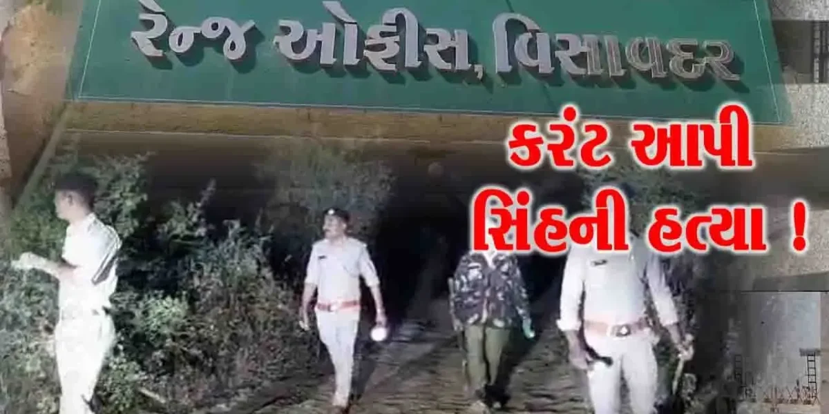 જૂનાગઢ: ઓઝત-2 ડેમમાંથી સિંહનો મૃતદેહ મળી આવ્યો,