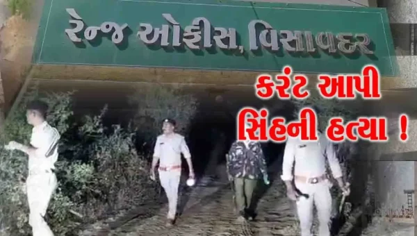 જૂનાગઢ: ઓઝત-2 ડેમમાંથી સિંહનો મૃતદેહ મળી આવ્યો,