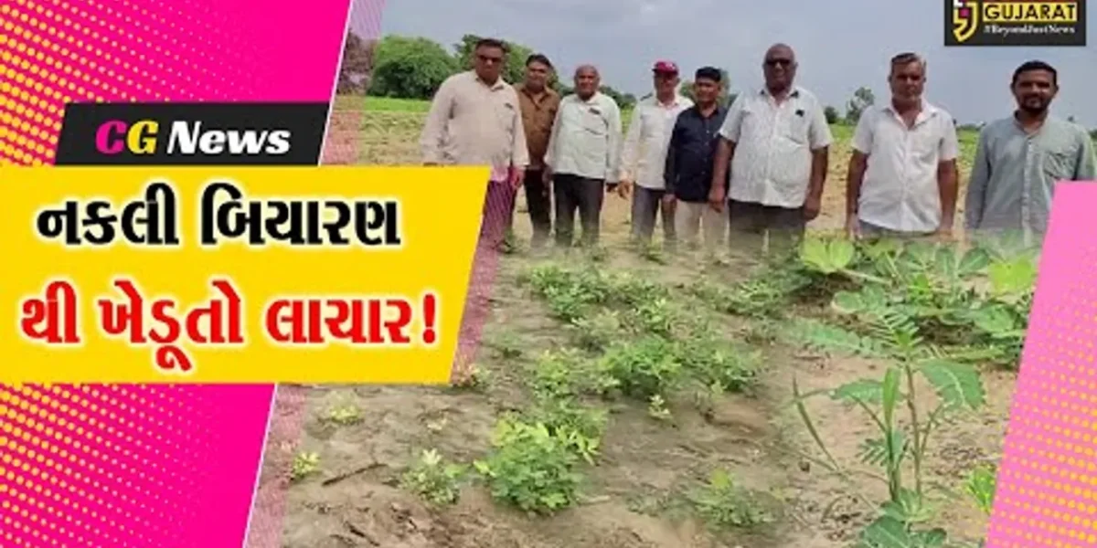 સાબરકાંઠા: પ્રાંતિજ ના અમીનપુર ખાતે મગફળીનું બિયારણ નકલી નીકળતા ખેડૂતો રાત પાણીએ રોયા