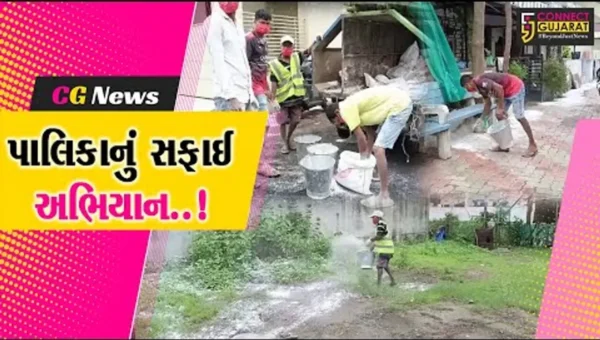 અંકલેશ્વર વરસાદી પાણીથી પ્રભાવિત વિસ્તારોમાં સાફસફાઈ સહિત દવાનો છંટકાવ